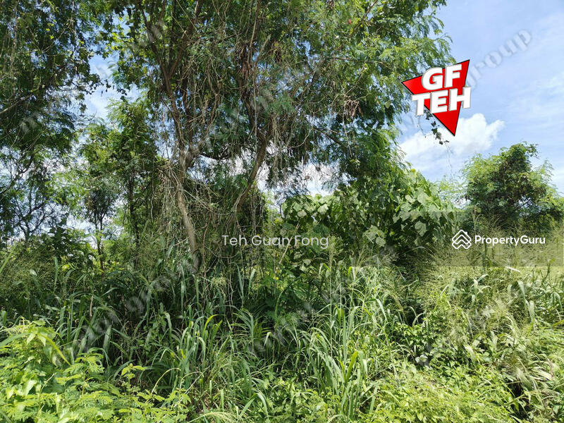 Agricultural Land for Sale in Mengkuang (Kubang Semang) - Teh Guan Fong - PropertyGuru.com.my