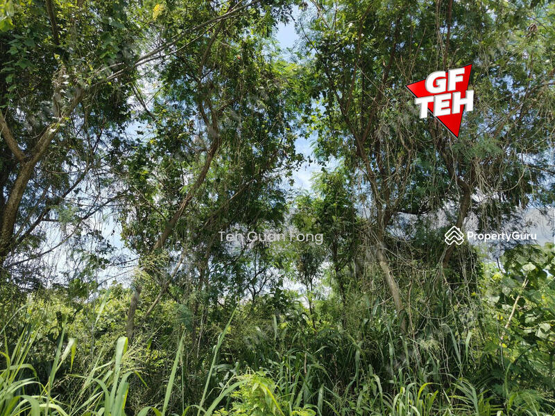 Agricultural Land for Sale in Mengkuang (Kubang Semang) - Teh Guan Fong - PropertyGuru.com.my