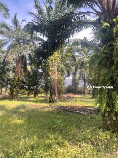 Agricultural Land for Sale in Telok Panglima Garang (Selangor) - Ice Lee - PropertyGuru.com.my