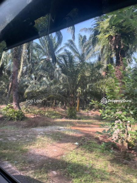 Agricultural Land for Sale in Telok Panglima Garang (Selangor) - Ice Lee - PropertyGuru.com.my