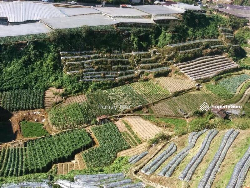 Equatorial Cameron Highlands, Entertainment Complex Equatorial Resort