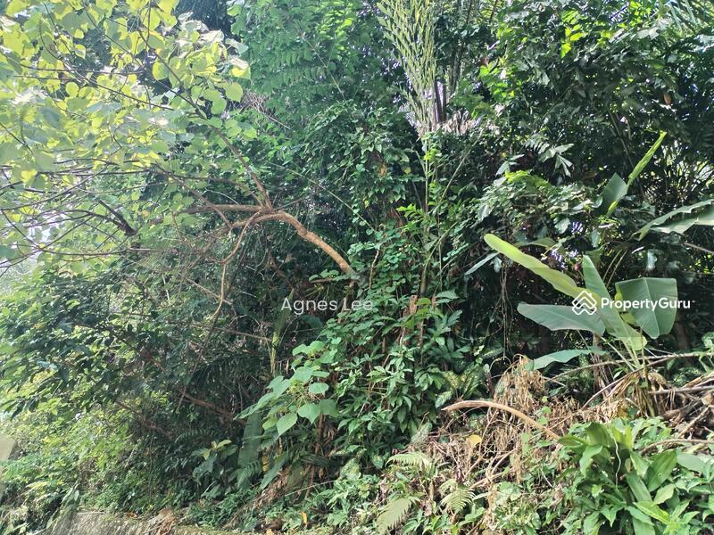 Untuk Dijual - Mutiara Hills @ Semenyih