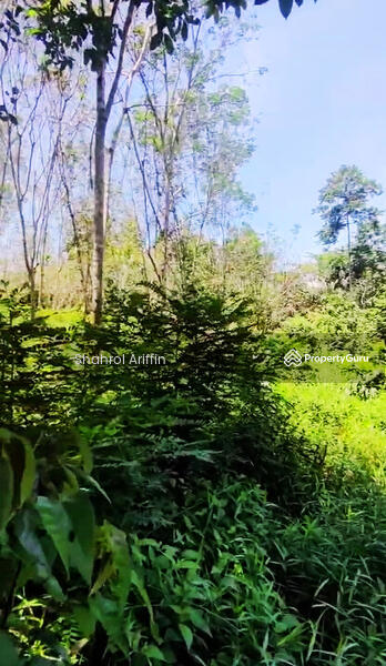 Agricultural Land for Sale in Pekan Gerik (Gerik) - Shahrol Ariffin - PropertyGuru.com.my