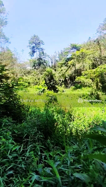 Agricultural Land for Sale in Pekan Gerik (Gerik) - Shahrol Ariffin - PropertyGuru.com.my