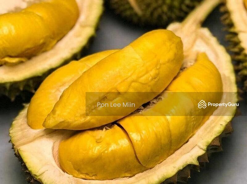 For Sale - Kuala Lipis