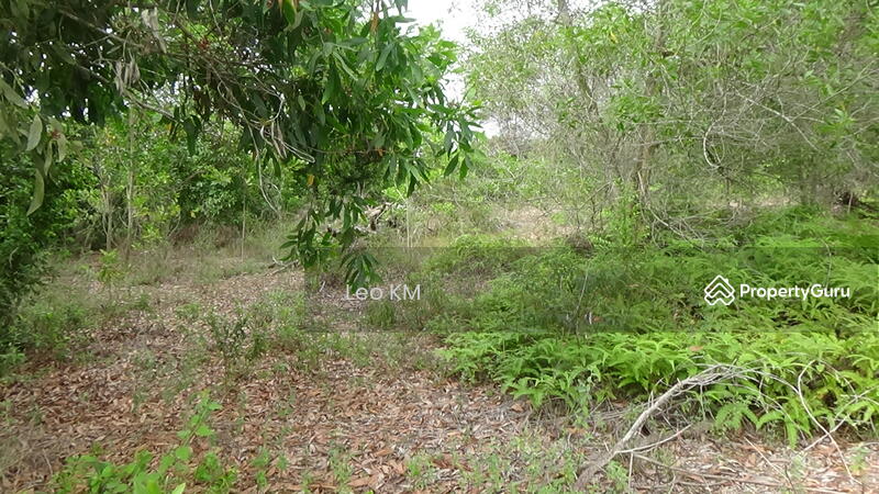 For Sale - Kawasan Perindustrian Tanjong Minyak