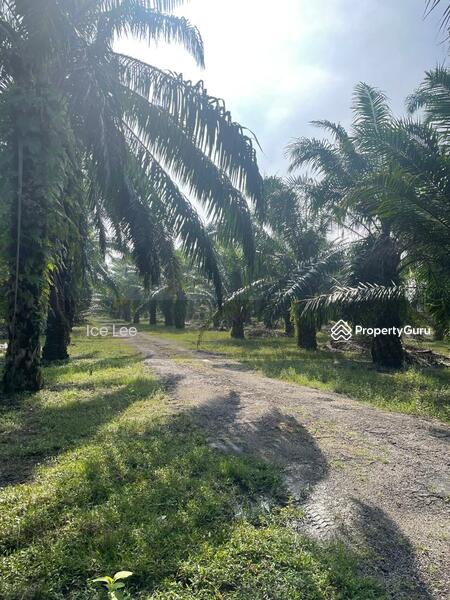 Telok MengkuangTelok Panglima Garang land for sale untuk Untuk Dijual - RM 9,300,000, Feb 2026 - PropertyGuru.com.my