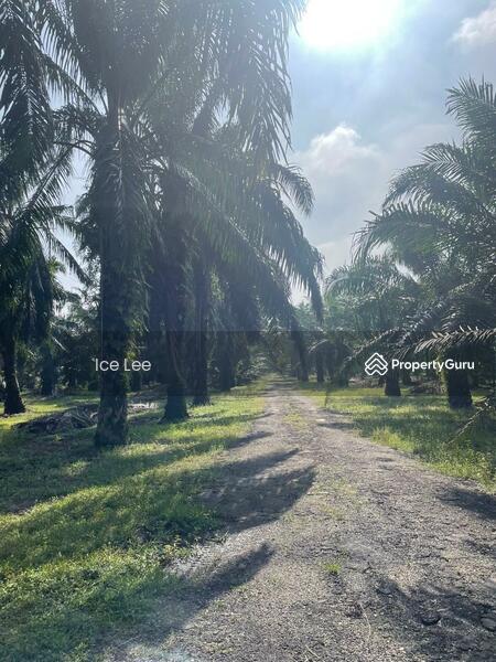 Telok MengkuangTelok Panglima Garang land for sale untuk Untuk Dijual - RM 9,300,000, Feb 2026 - PropertyGuru.com.my