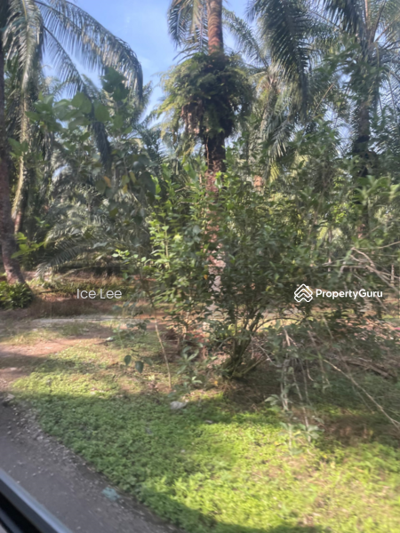 Agricultural Land for Sale in Telok Panglima Garang (Selangor) - Ice Lee - PropertyGuru.com.my
