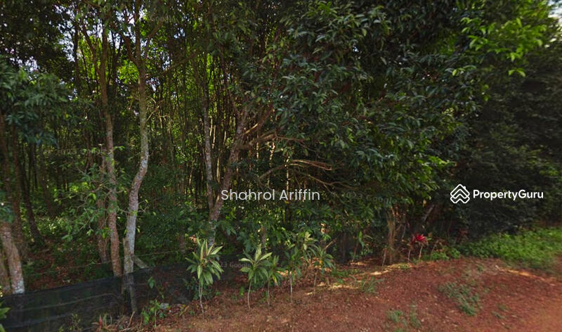 Agricultural Land for Sale in Taman Rumbia (Rembia) - Shahrol Ariffin - PropertyGuru.com.my
