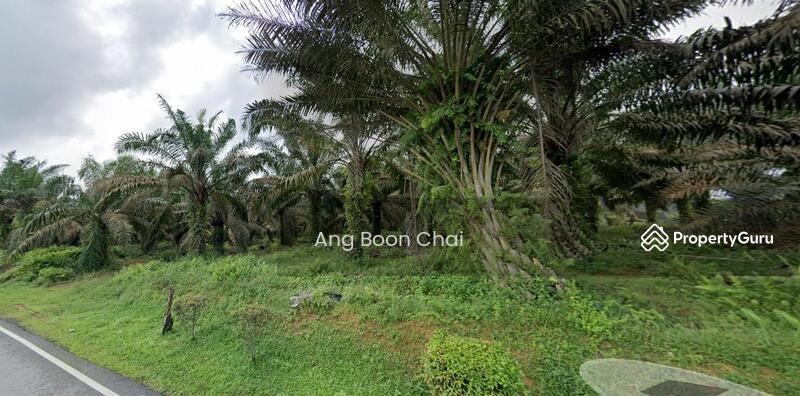 For Sale - Sedenak, Layang-Layang
