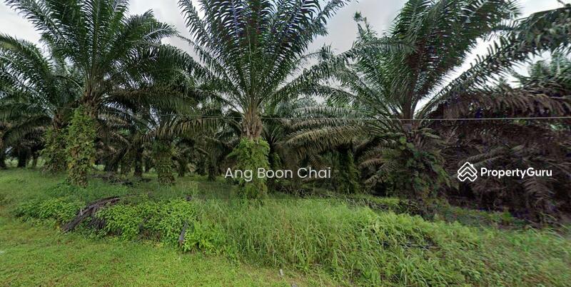 For Sale - Sedenak, Layang-Layang