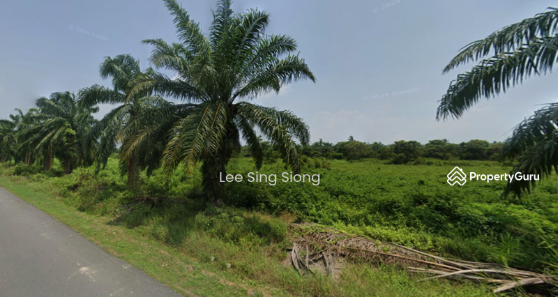 Untuk Disewa - (5 Acres) Jeram Kuala Selangor Kampung Sungai Sembilang Jalan Maharajalela