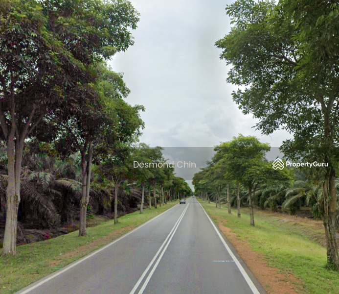 Agricultural Land for Sale in Kampung Sungai Buntu (Kukup) - Desmond Chin - PropertyGuru.com.my