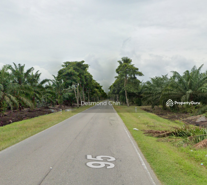 Agricultural Land for Sale in Kampung Sungai Buntu (Kukup) - Desmond Chin - PropertyGuru.com.my