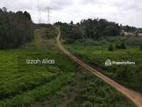 For Sale - Bukit Songsang Temerloh, Pahang