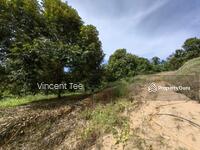 For Sale - 8.5 Acres Freehold Durian Farm Dong Raub