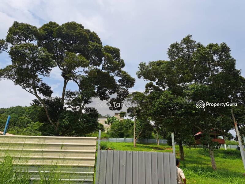 For Sale - Kundor Hilir Matured Durian Farm Seremban Negeri Sembilan