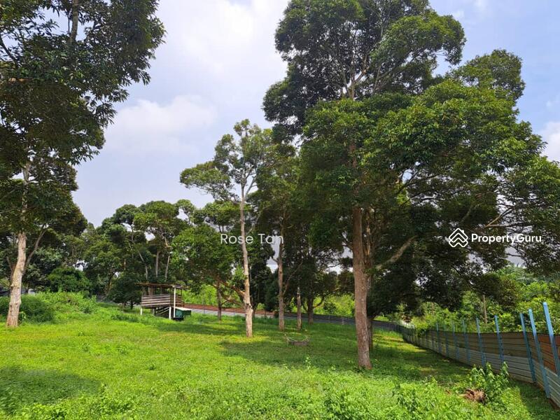For Sale - Kundor Hilir Matured Durian Farm Seremban Negeri Sembilan