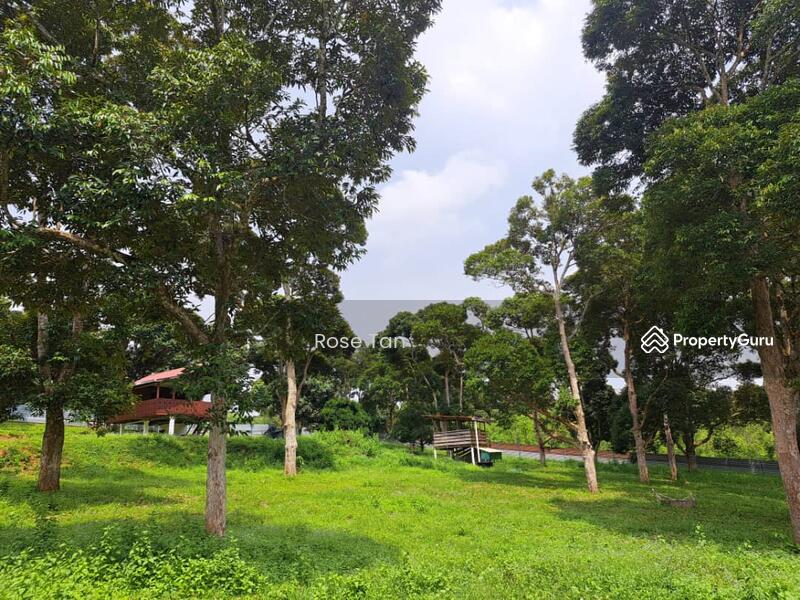 For Sale - Kundor Hilir Matured Durian Farm Seremban Negeri Sembilan