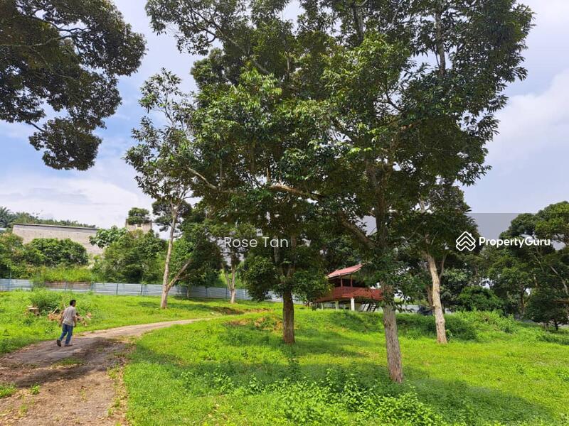 For Sale - Kundor Hilir Matured Durian Farm Seremban Negeri Sembilan