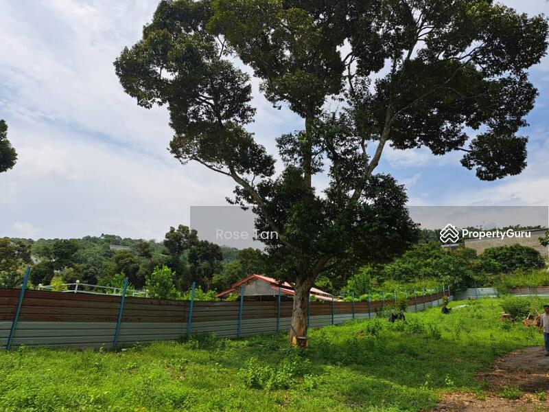 For Sale - Kundor Hilir Matured Durian Farm Seremban Negeri Sembilan