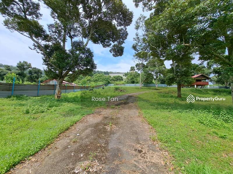 For Sale - Kundor Hilir Matured Durian Farm Seremban Negeri Sembilan
