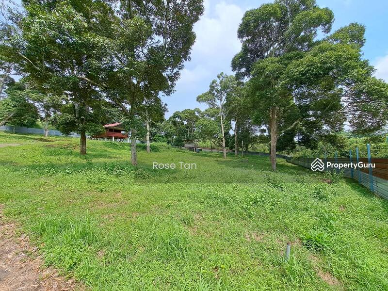 For Sale - Kundor Hilir Matured Durian Farm Seremban Negeri Sembilan