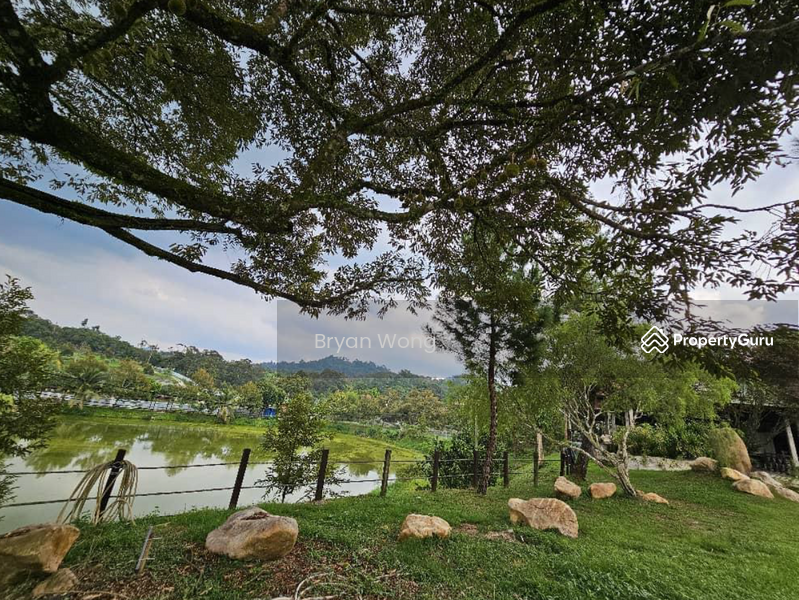 For Sale - Agriculture land at Kampung Sungai Makau
