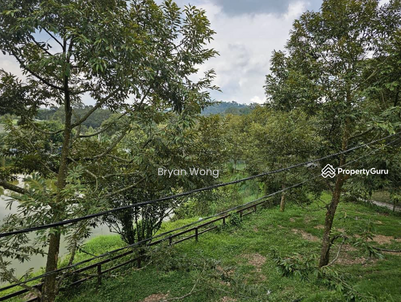 For Sale - Agriculture land at Kampung Sungai Makau