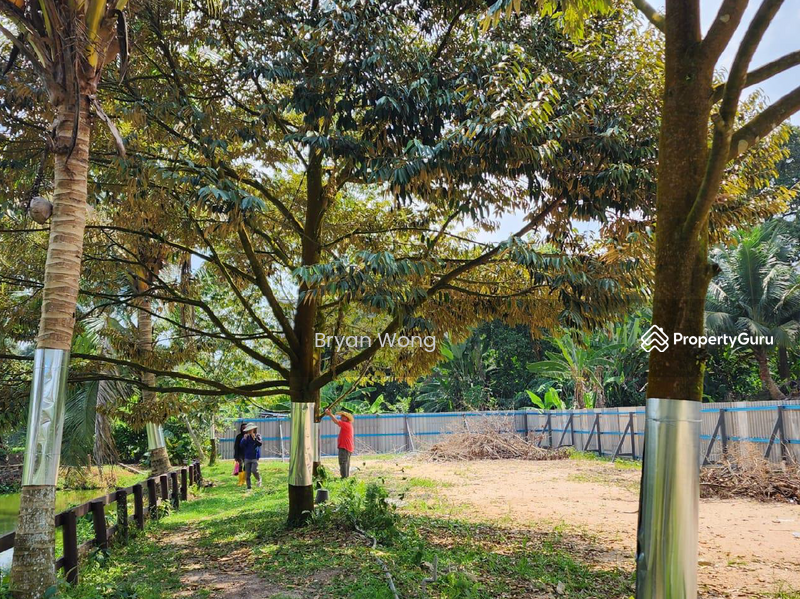 For Sale - Agriculture land at Kampung Sungai Makau