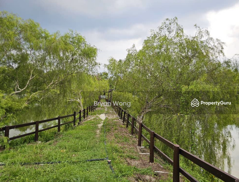 For Sale - Agriculture land at Kampung Sungai Makau