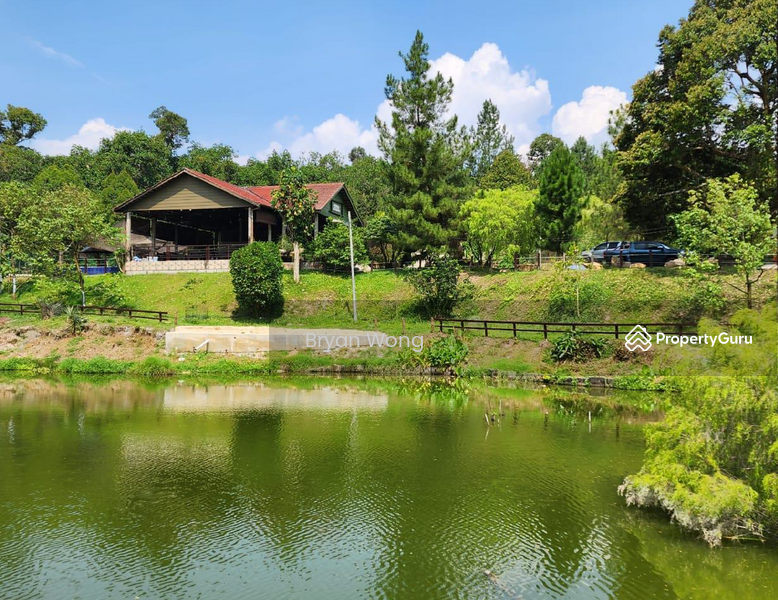 For Sale - Agriculture land at Kampung Sungai Makau