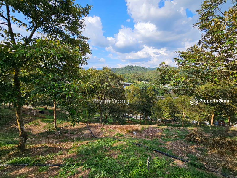 For Sale - Agriculture land at Kampung Sungai Makau