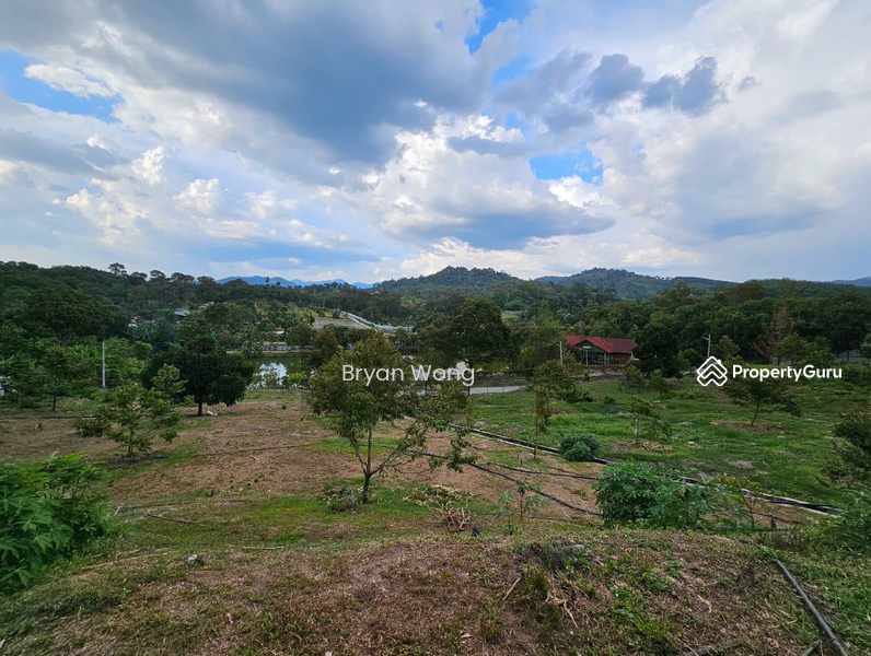 For Sale - Agriculture land at Kampung Sungai Makau