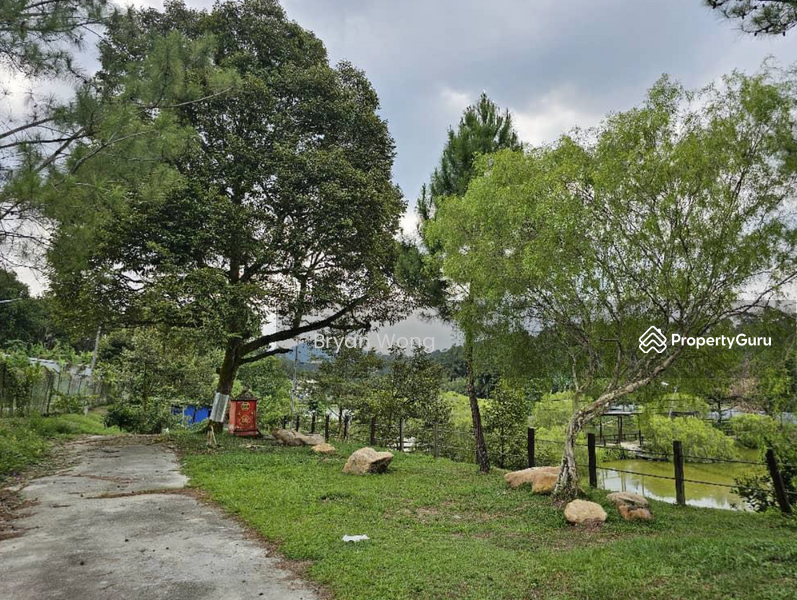 For Sale - Agriculture land at Kampung Sungai Makau