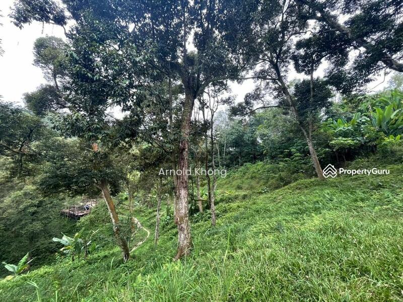Untuk Dijual - Agriculture land at Taman Bukit Serdang