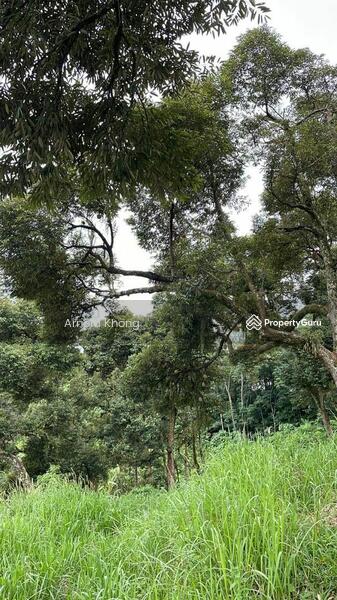 Untuk Dijual - Agriculture land at Taman Bukit Serdang