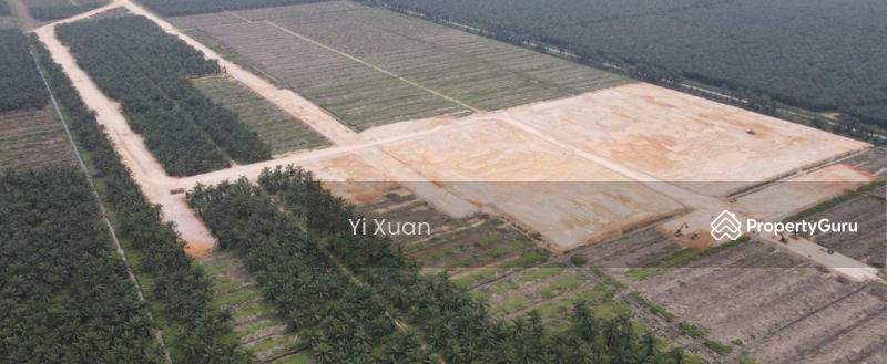 For Sale - Tanjung Langsat