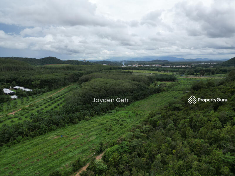 Untuk Dijual - Jabi, Pokok Sena, Kedah