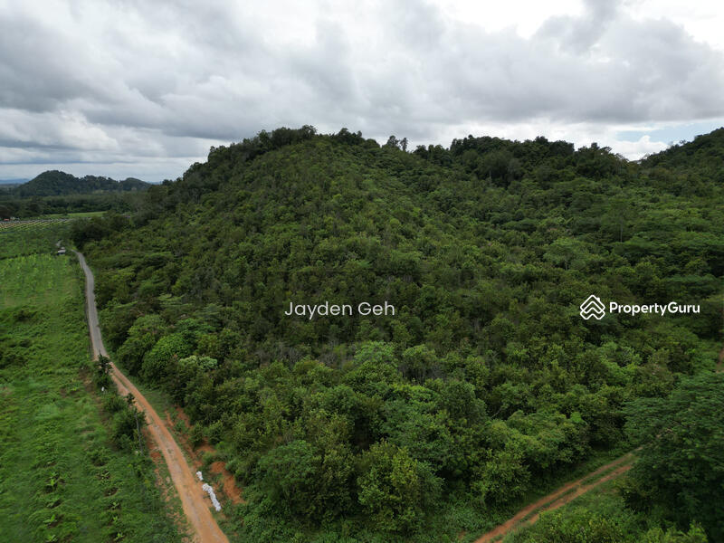 Untuk Dijual - Jabi, Pokok Sena, Kedah
