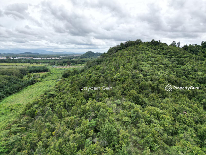 Untuk Dijual - Jabi, Pokok Sena, Kedah