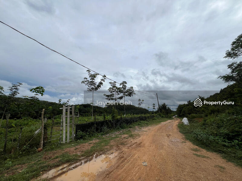 Untuk Dijual - Jabi, Pokok Sena, Kedah