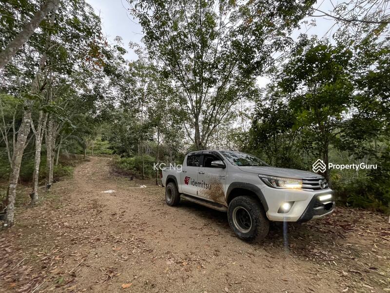 Untuk Dijual - Gerik, Perak 5 Acres Land With Rubber Trees