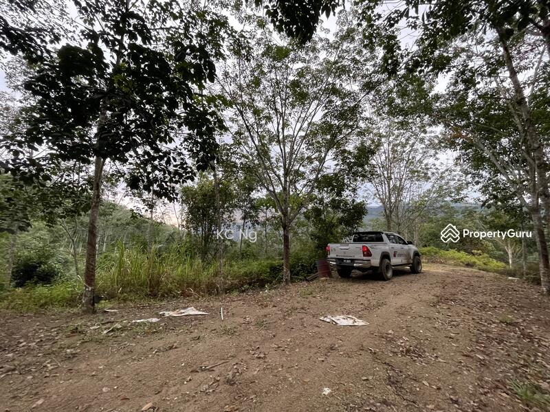 Untuk Dijual - Gerik, Perak 5 Acres Land With Rubber Trees