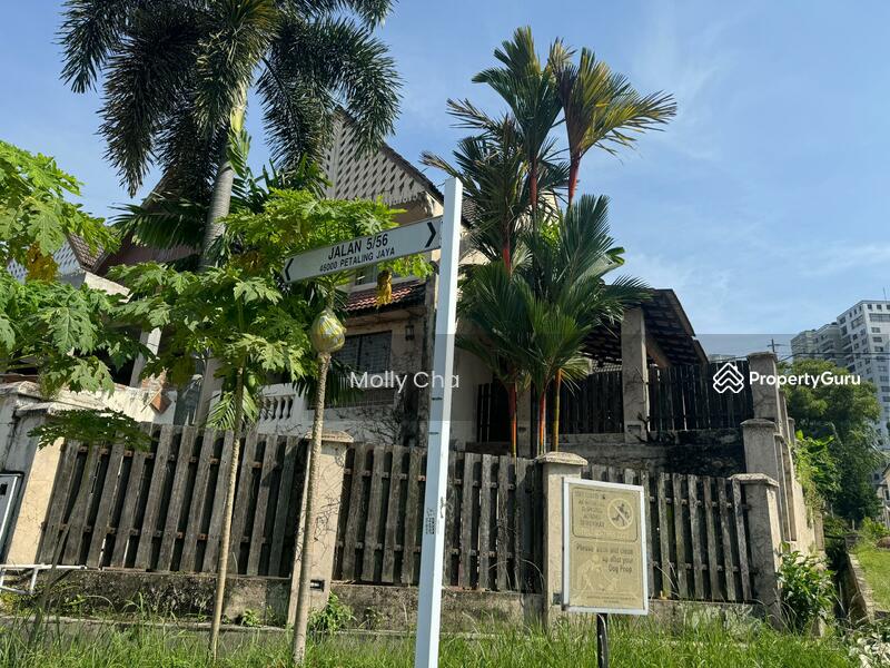 Rumah Teres untuk Disewa di Petaling Jaya (Selangor) - Molly Cha - PropertyGuru.com.my