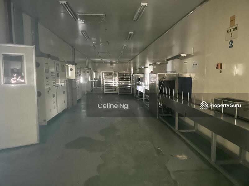 For Rent - Factory Taman Perindustrian Tampoi, Tampoi, Johor