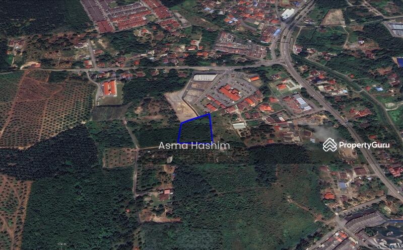 For Sale - Rembia melacca