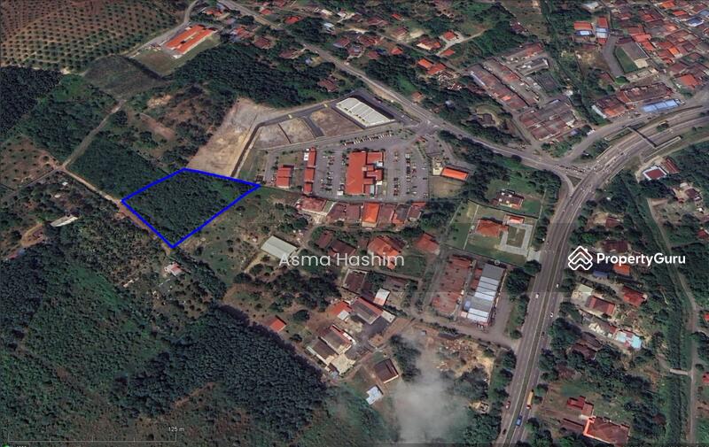 For Sale - Rembia melacca