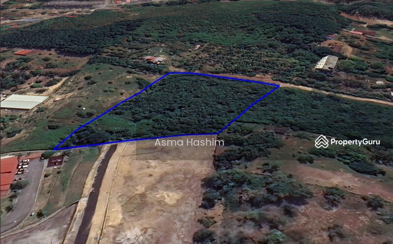 For Sale - Rembia melacca